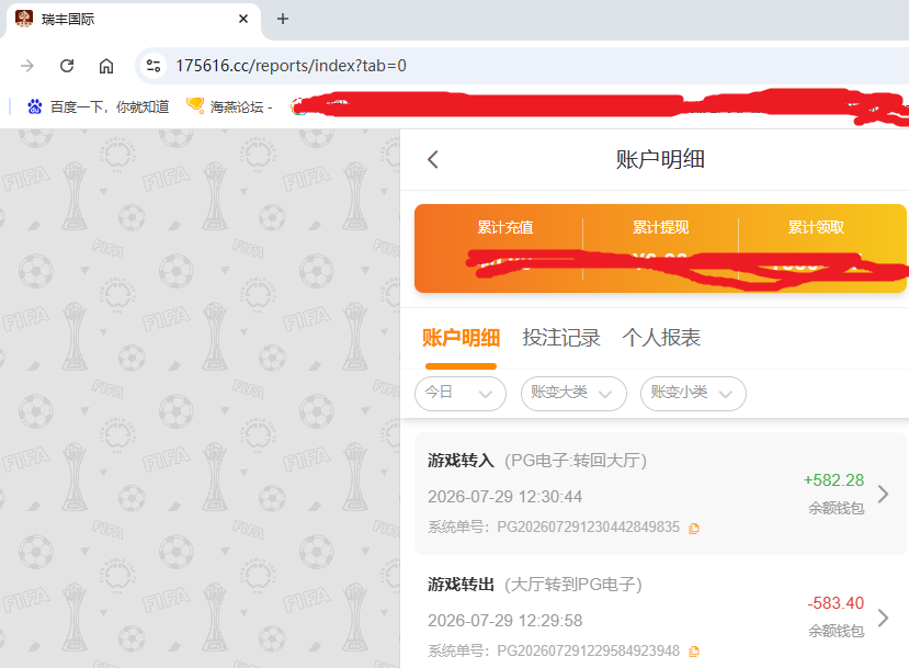 瑞丰国际资金图.png